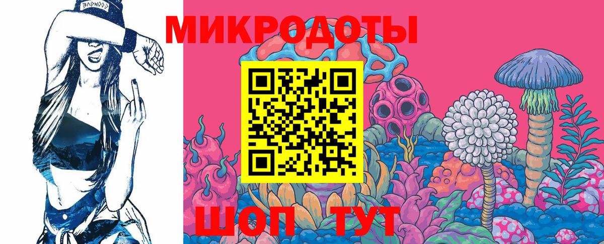 Псилоцибиновые грибы Psilocybe Набережные Челны